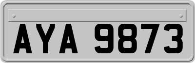 AYA9873