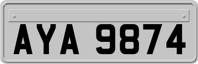AYA9874