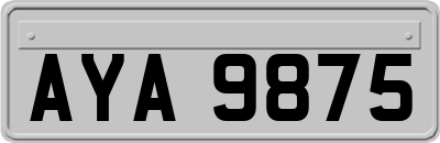 AYA9875