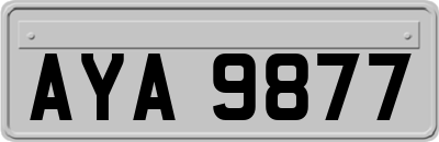 AYA9877