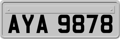 AYA9878