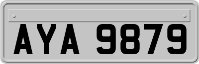 AYA9879