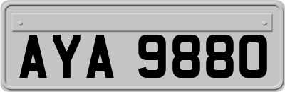 AYA9880