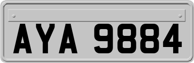 AYA9884