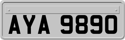 AYA9890