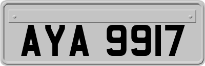 AYA9917