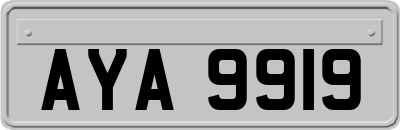 AYA9919