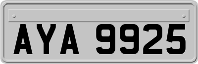AYA9925