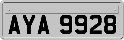 AYA9928