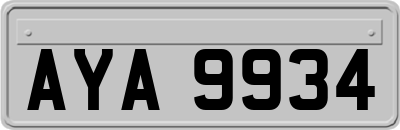AYA9934