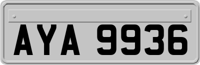 AYA9936