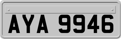 AYA9946