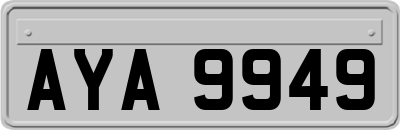 AYA9949
