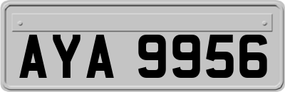 AYA9956