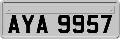 AYA9957