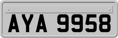 AYA9958