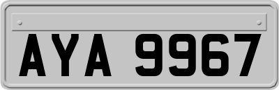 AYA9967