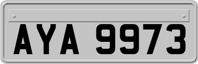 AYA9973