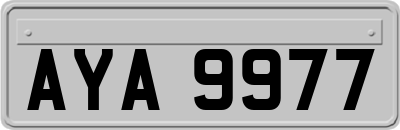 AYA9977