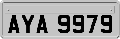 AYA9979