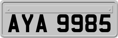 AYA9985