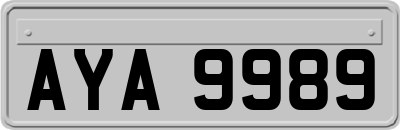 AYA9989