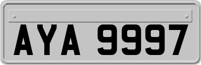 AYA9997