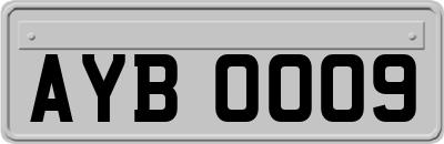 AYB0009