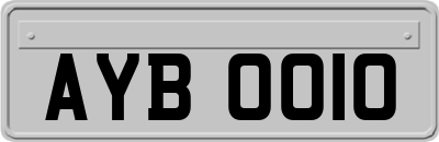 AYB0010