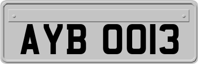AYB0013