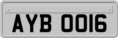 AYB0016