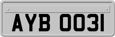 AYB0031