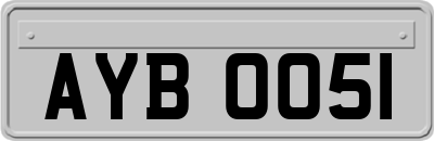AYB0051