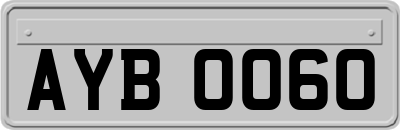 AYB0060