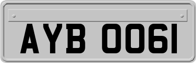AYB0061