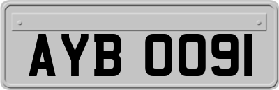 AYB0091