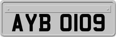 AYB0109