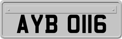 AYB0116