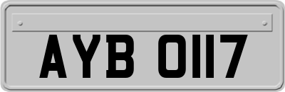 AYB0117