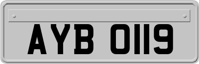 AYB0119