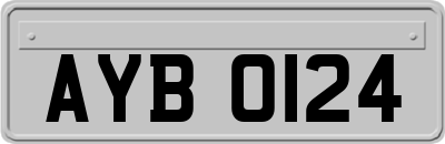 AYB0124
