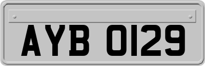 AYB0129