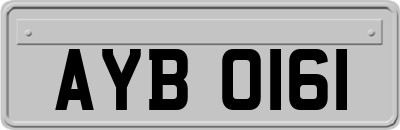 AYB0161