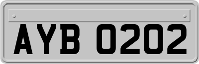 AYB0202