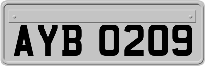 AYB0209