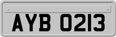 AYB0213