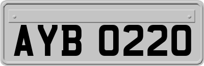 AYB0220