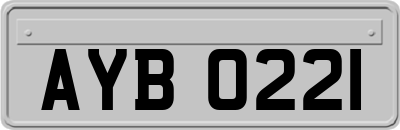 AYB0221