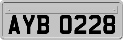 AYB0228
