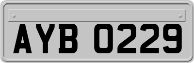 AYB0229